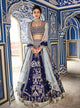 Fabulous JI1015 Latest Blue Banarasi Silk Net Lehenga Choli - Fashion Nation