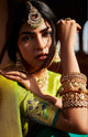 Wedding & Festive Wear Traditional Designer Saree for Online Sales by Fashion Nation