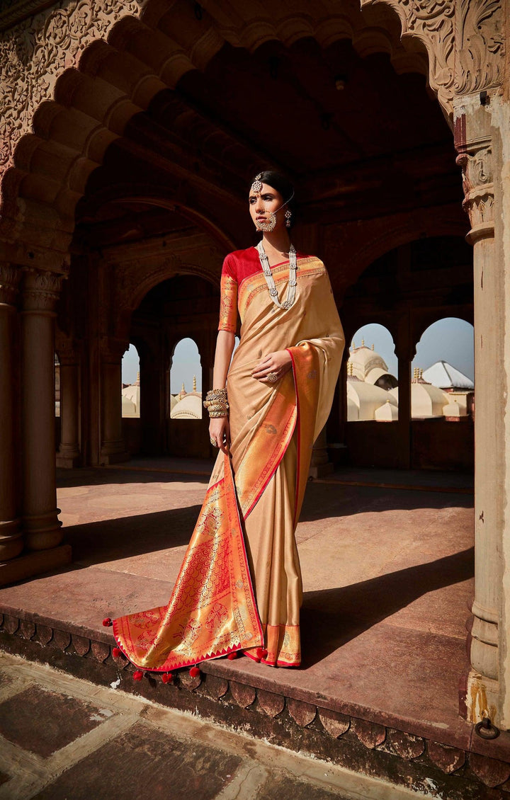 Wedding Wear Traditional Designer Saree - Fashion Nation